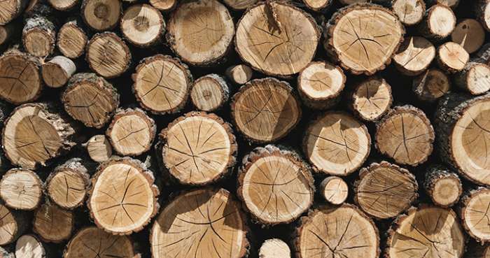 Céruser le bois ? Mode d'emploi