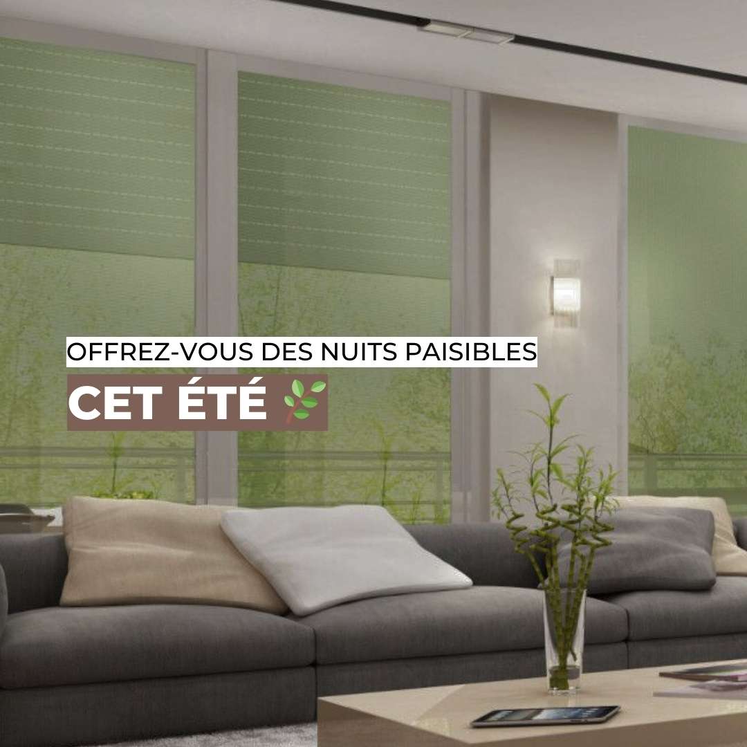25% de remise sur les volets roulants rénovation moustiquaire-store jusqu'au 30/06 !