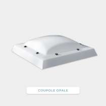 Fenetre de toit plat fixe VELUX